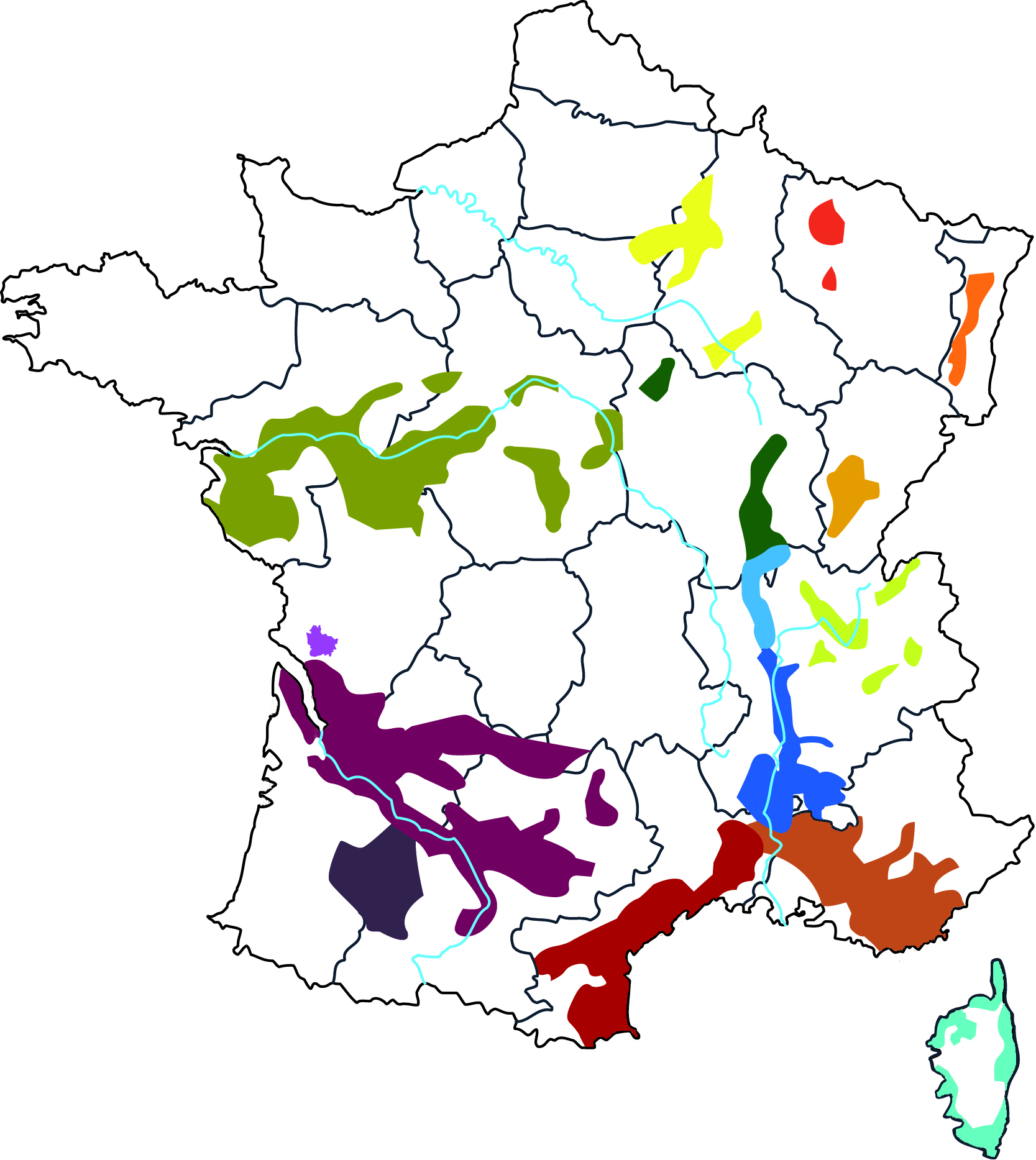 L'appellation